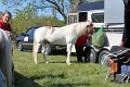IMG_9776_edited-1