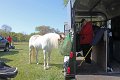 IMG_9777_edited-1