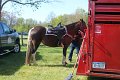 IMG_9779_edited-1