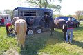IMG_9782_edited-1