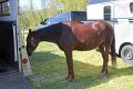 IMG_9783_edited-1