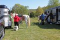 IMG_9787_edited-1