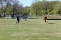 IMG_9788_edited-1