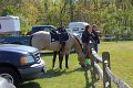 IMG_9789_edited-1