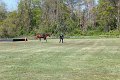 IMG_9794_edited-1