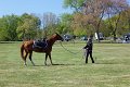 IMG_9795_edited-1