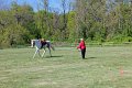 IMG_9796_edited-1