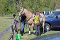 IMG_9797_edited-1