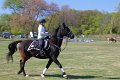 IMG_9798_edited-1