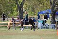 IMG_9800_edited-1
