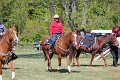IMG_9807_edited-1