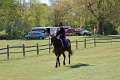IMG_9811_edited-1