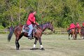 IMG_9813_edited-1