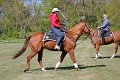 IMG_9815_edited-1