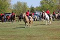 IMG_9826_edited-1