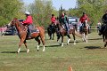 IMG_9831_edited-1