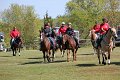 IMG_9837_edited-1