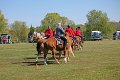 IMG_9847_edited-1