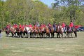 IMG_9864_edited-1