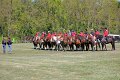 IMG_9865_edited-1