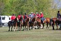 IMG_9877_edited-1