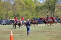 IMG_9881_edited-1