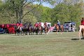 IMG_9891_edited-1