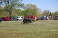 IMG_9892_edited-1