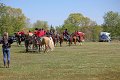 IMG_9906_edited-1