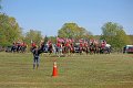 IMG_9941_edited-1