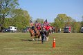 IMG_9946_edited-1