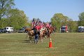 IMG_9965_edited-1