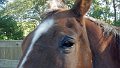 100_1100_edited-1
