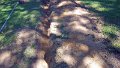 100_1107_edited-1