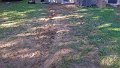 100_1128_edited-1