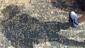 100_1037_edited-1